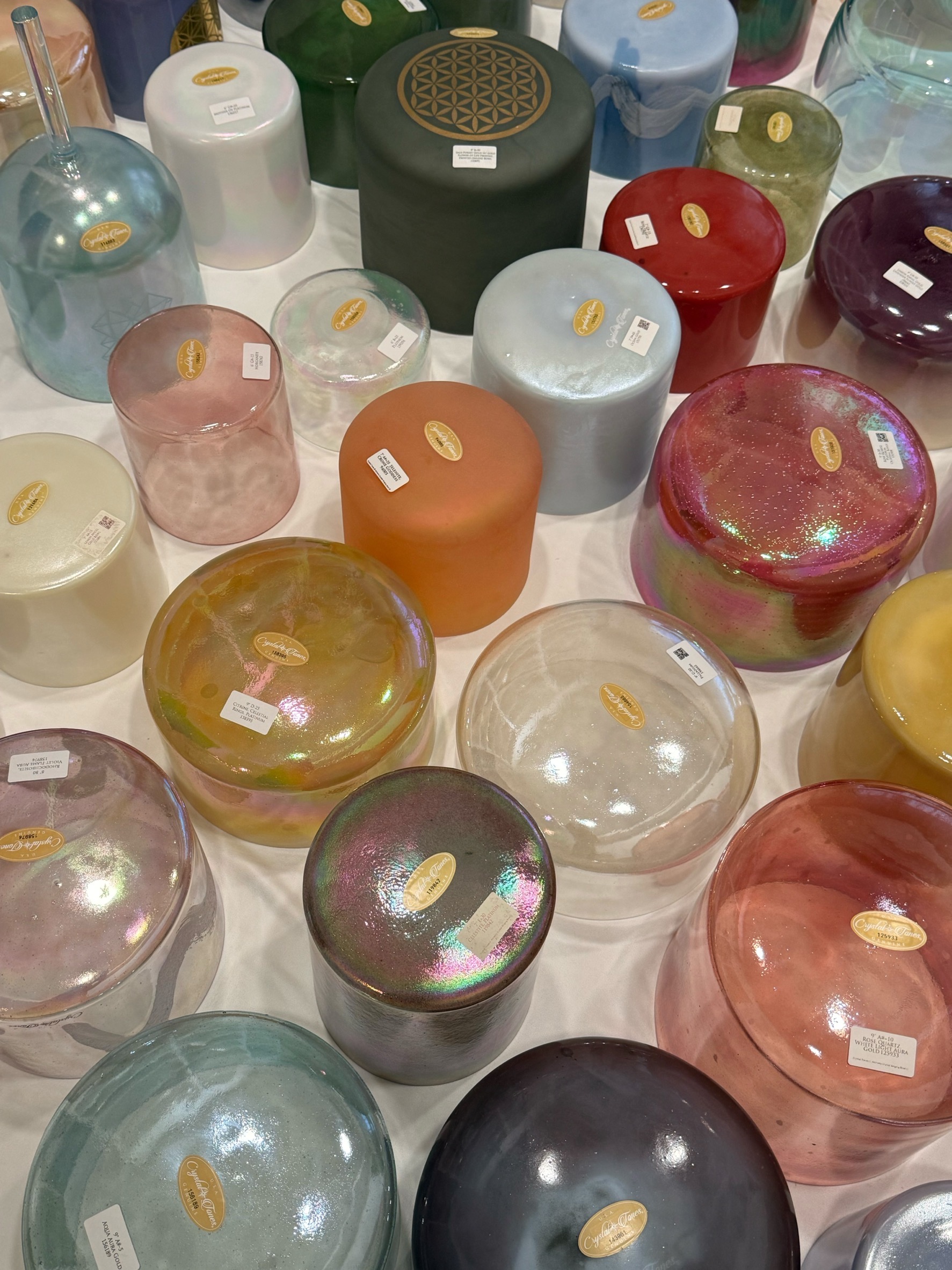 2026年春季新缽抵台~歡迎預約賞缽:圖片 2